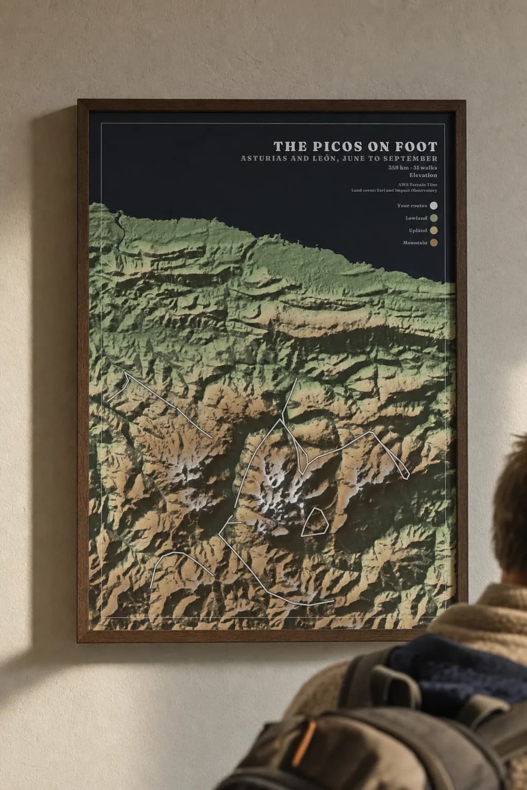 A poster of a summer walking the Picos de Europa, framed in walnut on a stairwell wall